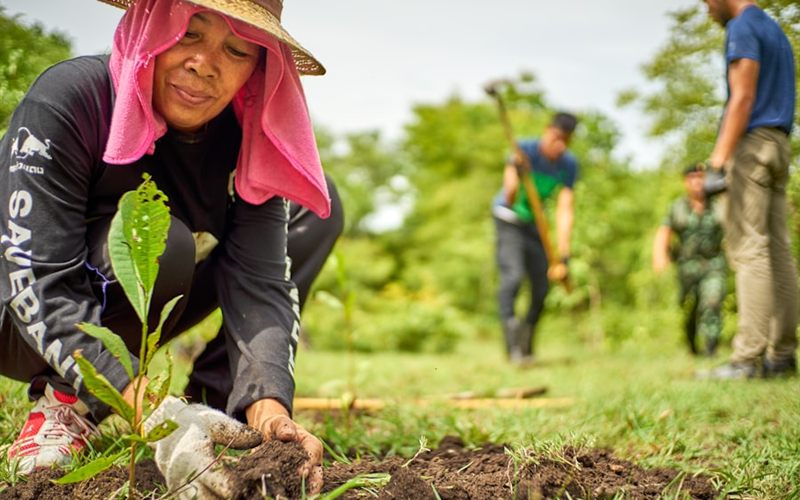 A volunteer planting a tree seedling in the soil